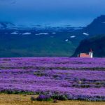 吃瓜中心52,吃瓜群众在线观看 7qy026r