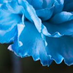 爱爱视频在线观看 92b53m