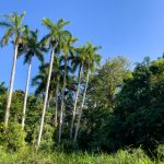 免费A片在线观看全网站 ceb411611j