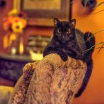 吾爱吃瓜黑料不打烊,吾爱吃瓜51github iaidg2