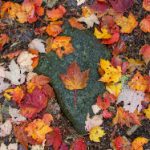 免费人成视频年轻人在线 iljj1ck7