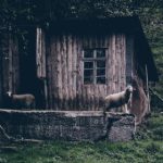 日韩中文在线AV中文字幕 rjeq9wx5s