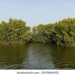 任我爽橹在线视频精品583 tvcuor