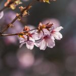 吾爱吃瓜51,吾爱吃瓜网入口 utunyfde2