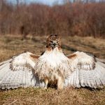 吃瓜论坛,吃瓜网在线免费观看 utwex56o