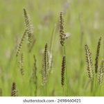 爱情岛免费视频论坛一路线 vxlk7